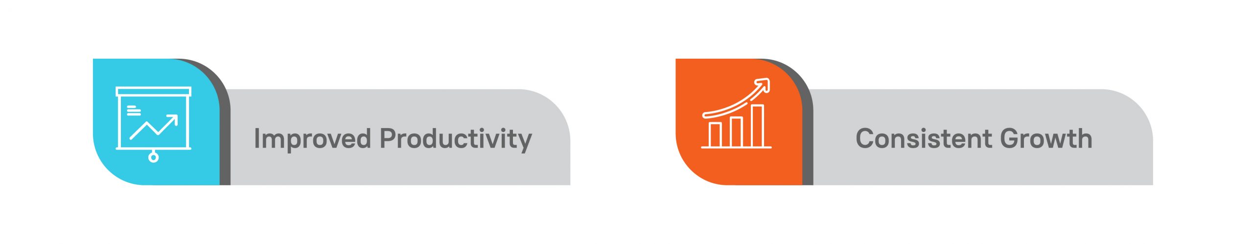 Accounting Software Solutions Infographics