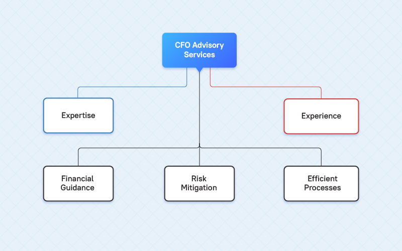 CFO advisory services