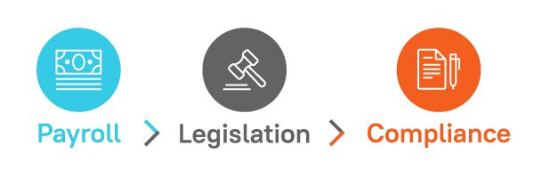 payroll related provisions Infographics